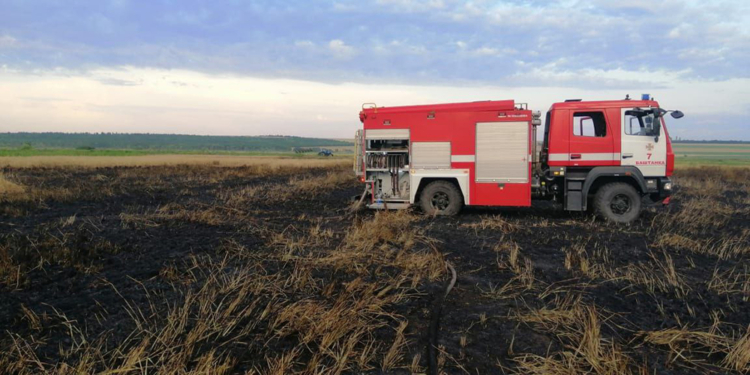 На Николаевщине выгорело 7 га зерновых – спасатели подозревают поджог (ФОТО)