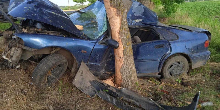 Ночное ДТП на Николаевщине – водитель Honda умер в больнице (ФОТО)