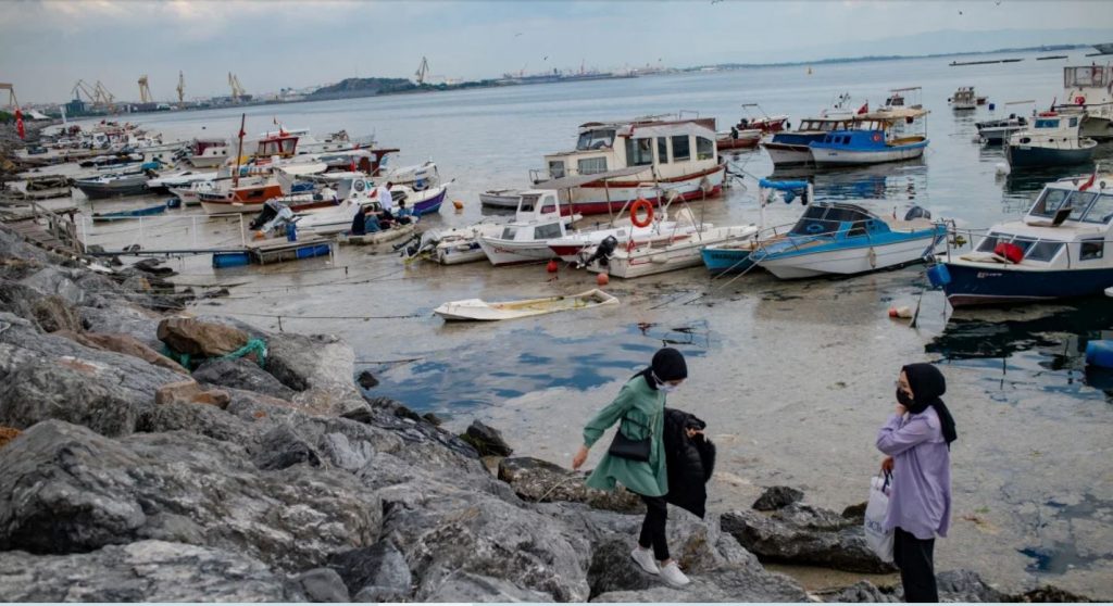 Мраморное море покрыли "морские сопли". Эрдоган предупреждает об опасности для Черного моря (ФОТО, ВИДЕО) 3