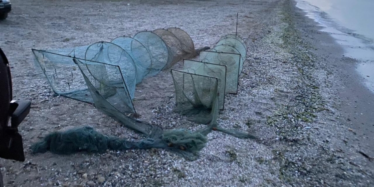 Выловили мальков камбалы и 4 кг креветки: в Рыбаковке пограничники выявили двух браконьеров (ФОТО)