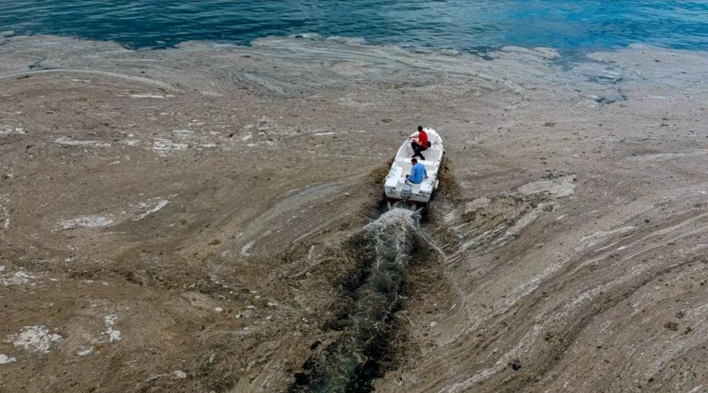 Мраморное море покрыли "морские сопли". Эрдоган предупреждает об опасности для Черного моря (ФОТО, ВИДЕО) 5