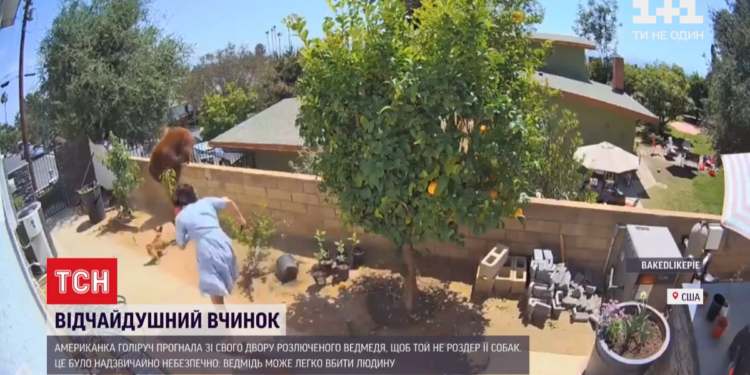 Женщина голыми руками вытолкала со своего двора медведицу