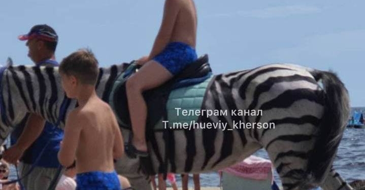 В Скадовске лошадь перекрасили в зебру ради заработка на пляже – одни катались, другие возмущались (ФОТО)