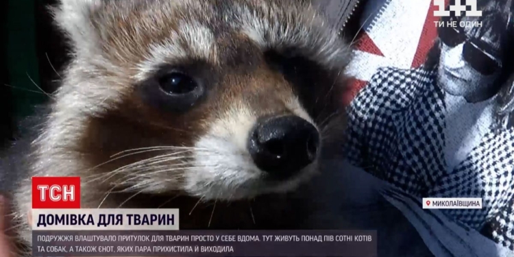 На Николаевщине супруги помогают животным, пострадавших от человеческой жестокости. Присоединяйтесь! (ВИДЕО)