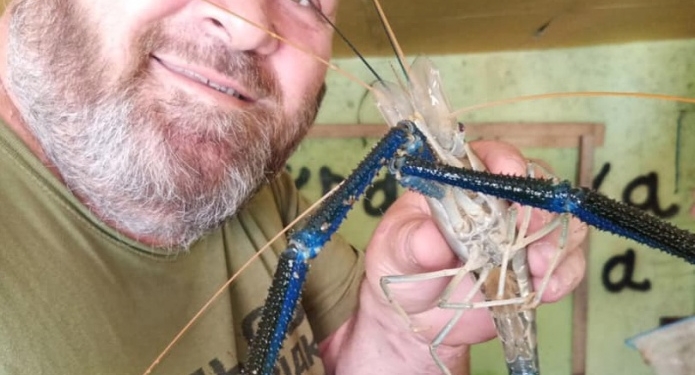 Выращивать креветок выгоднее, чем свиней – украинский аквафермер