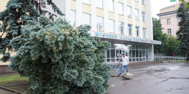 В центре Николаева из-за дождя упала огромная ель (ФОТО и ВИДЕО)