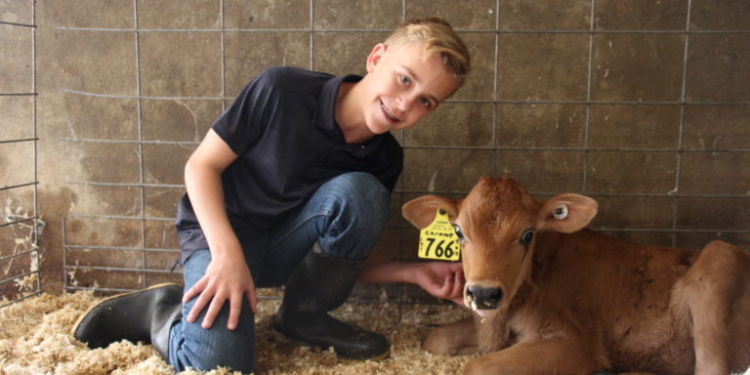 В мире ширится движение “Приюти корову”. От желающих отбоя нет (ФОТО)