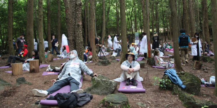 Специально для трудоголиков: в Корее проводят соревнования спокойствия