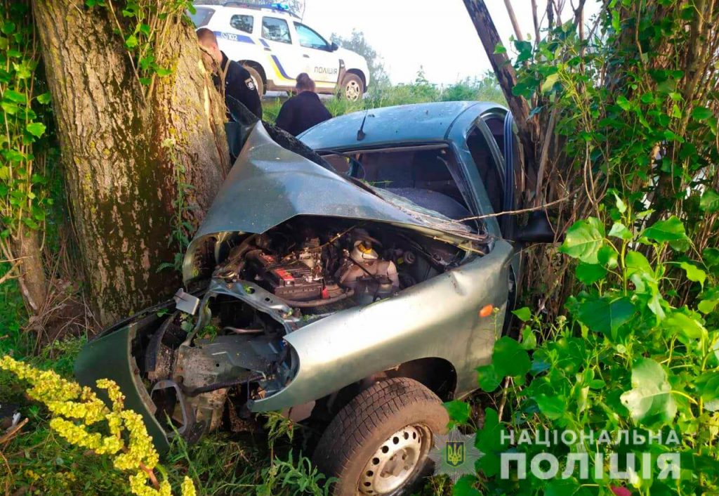 Под Николаевом ночью Lanos врезался в дерево, беременную пассажирку вынимали спасатели (ФОТО) 3