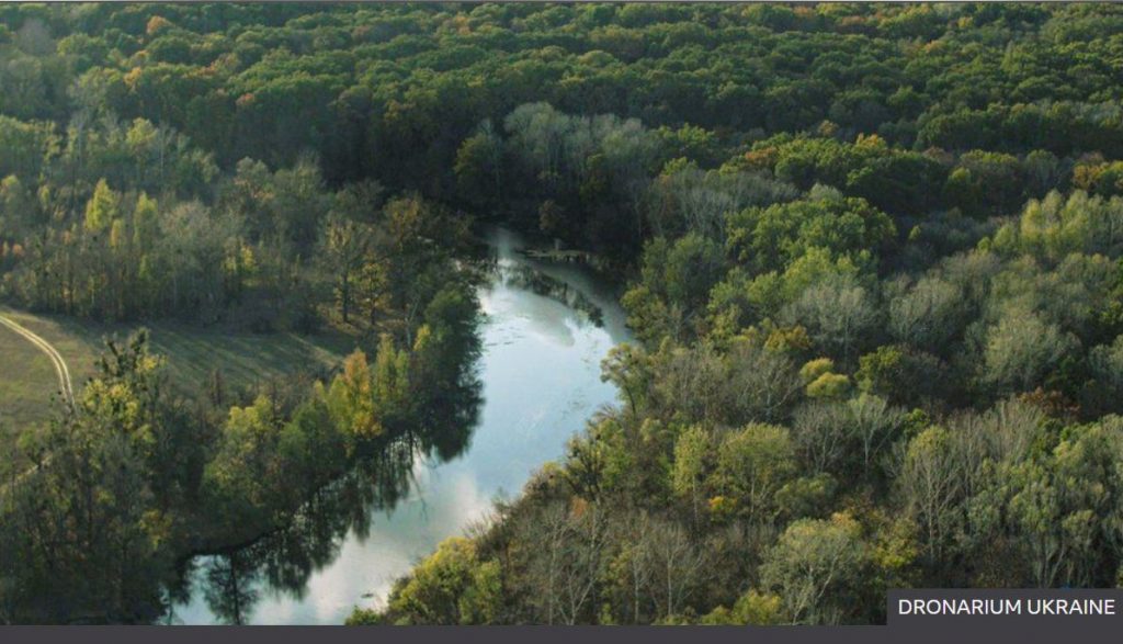 ВР приняла закон о сохранении украинских лесов 1