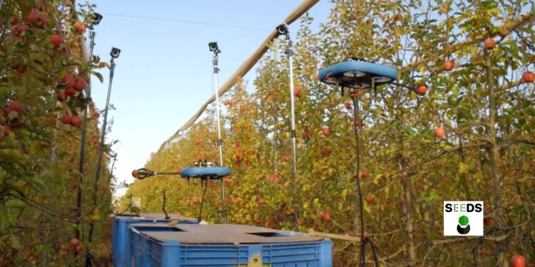 Не ест, не спит, не сачкует. В Израиле представили беспилотных роботов для сбора фруктов (ВИДЕО)