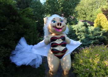 Детский центр во Львове предлагает клиентам стриптиз от свиньи Каролины (ФОТО, ВИДЕО)