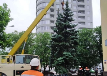 Упавшую в центре Николаева 8-метровую ель вернули в вертикальное положение (ФОТО)