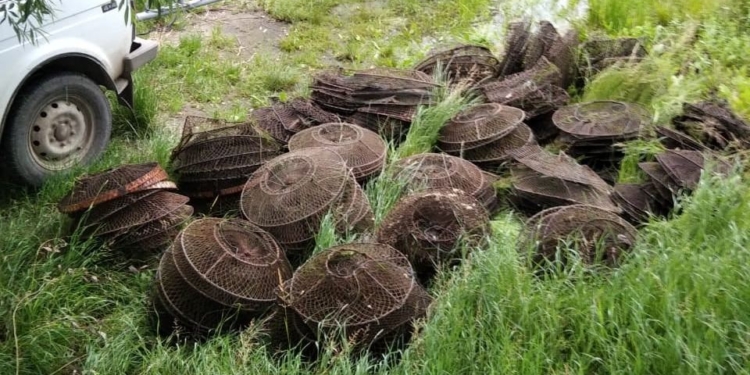 Николаевский рыбоохранный патруль изъял из Южного Буга 350 браконьерских раколовок (ФОТО, ВИДЕО)