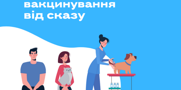 Сегодня в Николаеве можно бесплатно чипировать и привить от бешенства четвероногого любимца