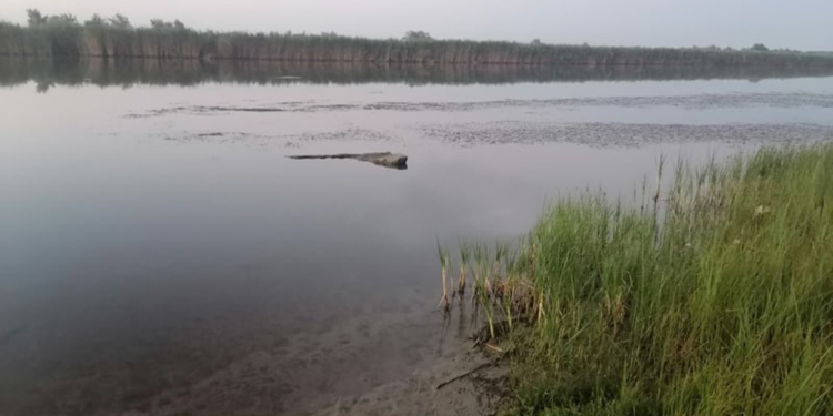 В Баштанском районе утонул 46-летний мужчина