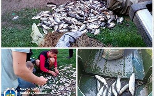За неделю Николаевский рыбоохранный патруль конфисковал у браконьеров 324 кг рыбы