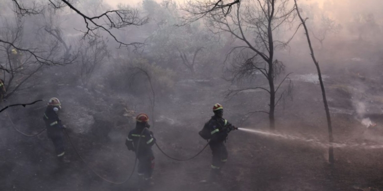 В Греции за последние сутки вспыхнули 46 лесных пожаров
