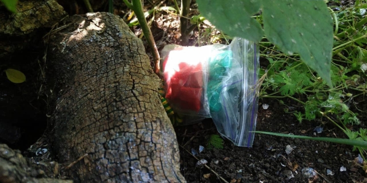 В Николаеве полицейские роты ТОР задержали 17-летнего «закладчика» (ФОТО)