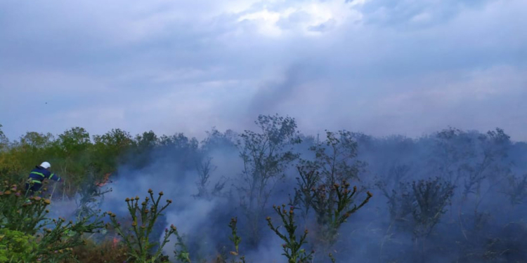 За сутки на Николаевщине зарегистрировано 6 пожаров на открытых территориях (ФОТО)