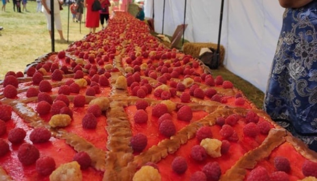 «МалинаФест»: в Винницкой области испекли рекордный малиновый пирог (ФОТО) 21