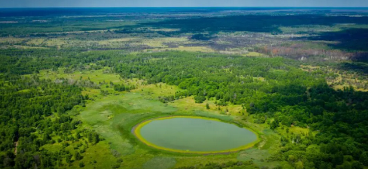 На заповедных землях Чернобыльской зоны обнаружили “Глаз Полесья” (ФОТО)