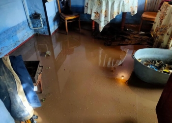Затопило: спасатели Николаевщины откачивали воду из домов и помещений (ФОТО)