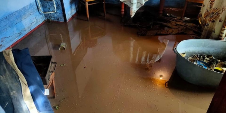 Затопило: спасатели Николаевщины откачивали воду из домов и помещений (ФОТО)