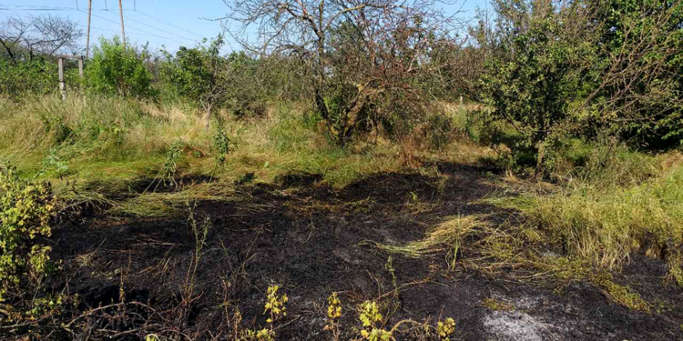 За сутки спасатели Николаевщины 7 раз выезжали на пожары в экосистемах (ФОТО)