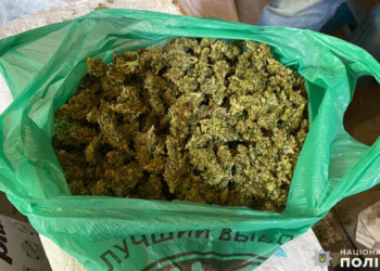 6 кг конопли и пистолет с патронами: что полиция изъяла у жителя Вознесенска (ФОТО, ВИДЕО)