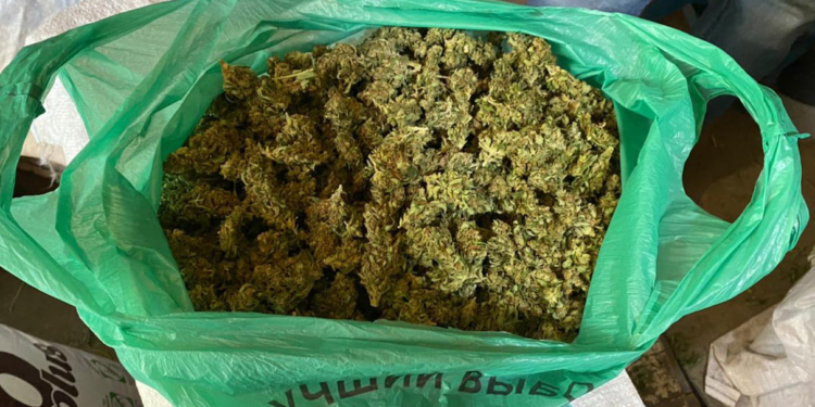 6 кг конопли и пистолет с патронами: что полиция изъяла у жителя Вознесенска (ФОТО, ВИДЕО)