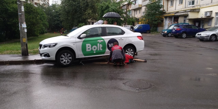 В Киеве змея из квартиры спустилась по дереву и “села” в такси. Машину пришлось разобрать (ФОТО)