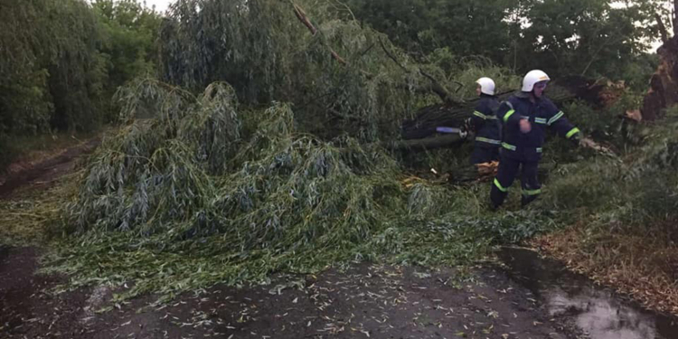 Ветер и ливни в двух районах Николаевщины завалили деревьями междугородние трассы (ФОТО)