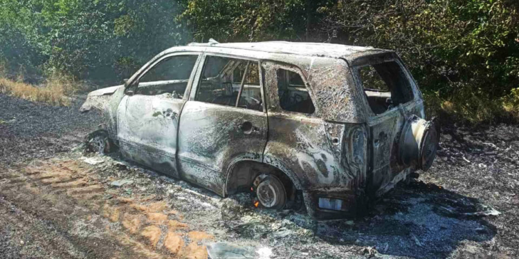 Под Новым Бугом на трассе вспыхнула “Таврия”, огонь перекинулся на пшеничное поле и Suzuki (ФОТО)