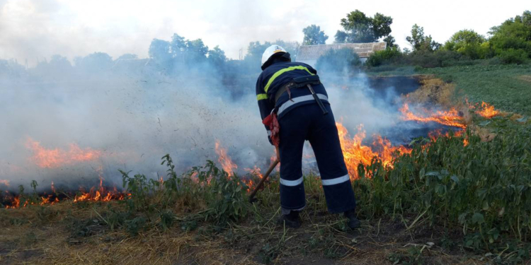 Солома, сухая трава и хозпостройка: что тушили на Николаевщине за сутки (ФОТО)