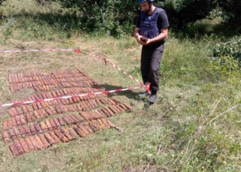 Неподалеку от Врадиевки нашли 300 артснарядов (ФОТО)