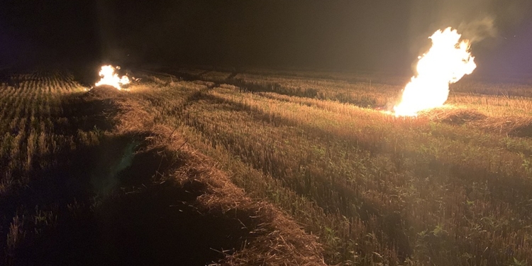 За сутки на Николаевщине выгорело более 33 га открытых территорий (ФОТО)