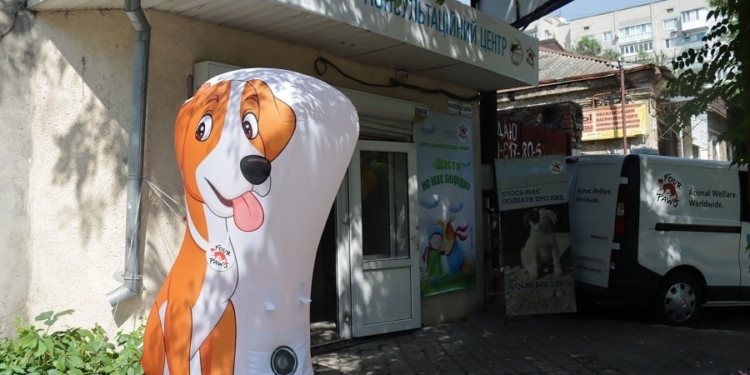 Счастье не имеет породы: в Николаеве открыли центр пристраивания бездомных животных (ФОТО)