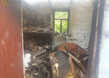 В Раково из-за детских шалостей загорелась хозпостройка, а в Николаеве по непонятным причинам – припаркованная Toyota (ФОТО)