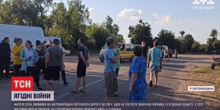 Ягодные войны на Житомирщине. Подножного корма на всех не хватает (ВИДЕО)