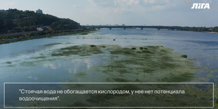 Николаев пьет воду из Днепра, ученые говорят – это уже не река (ВИДЕО)