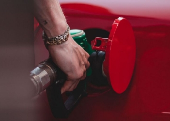 Использование биодизеля в дизтопливе приведет к уничтожению лесной площади, равной площади Нидерландов, – исследование