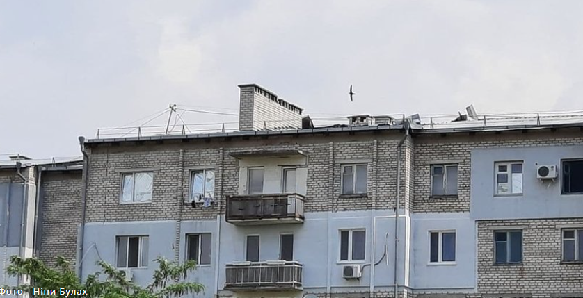 Могут нанять шамана, - чиновник ЖКХ дал совет жителям многоэтажки в Николаеве, крышу которой сорвал ветер 1