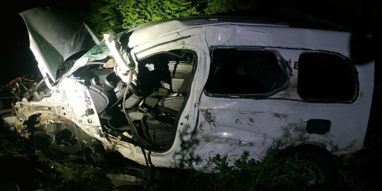 ДТП на Николаевщине. Водителя Renault вырезали из обломков после столкновения с DAF (ФОТО)