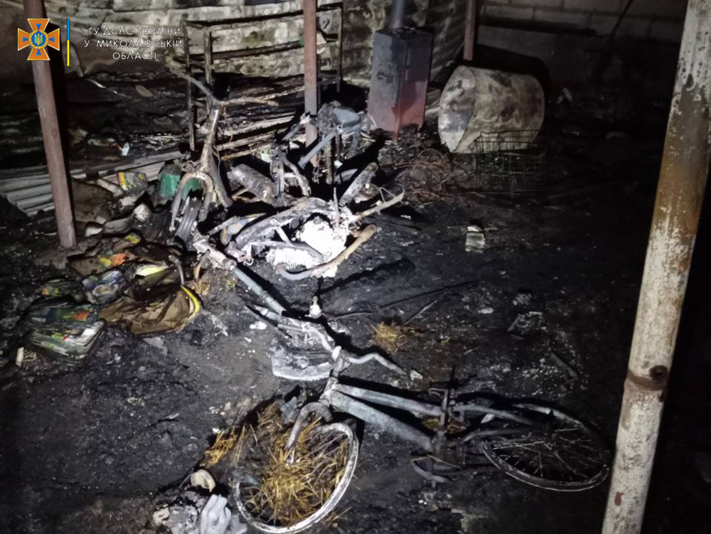 В Кирьяковке огонь уничтожил ВАЗ 2104, мопед, мотоцикл и 2 газонокосилки - и все в одном месте (ФОТО) 3