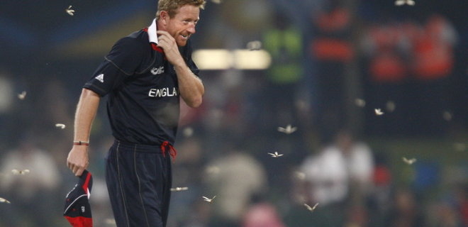 Над Лондоном огромное количество летающих муравьев. Они могут помешать финалу Евро-2020 (ВИДЕО)