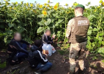 Пограничники поймали в подсолнухах «вора в законе» из РФ и “криминального авторитета” из Грузии – шли пешком в Украину (ФОТО)