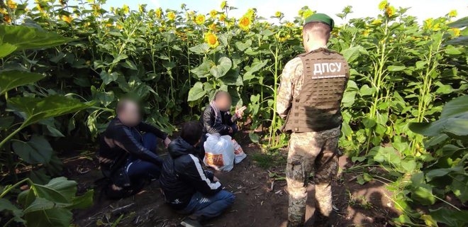 Пограничники поймали в подсолнухах «вора в законе» из РФ и “криминального авторитета” из Грузии – шли пешком в Украину (ФОТО)