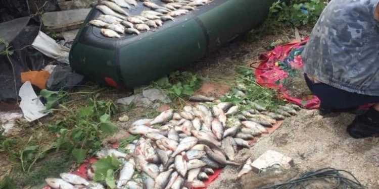 Николаевский рыбоохранный патруль поймал очередного браконьера, который незаконно добыл много рыбы (ФОТО)