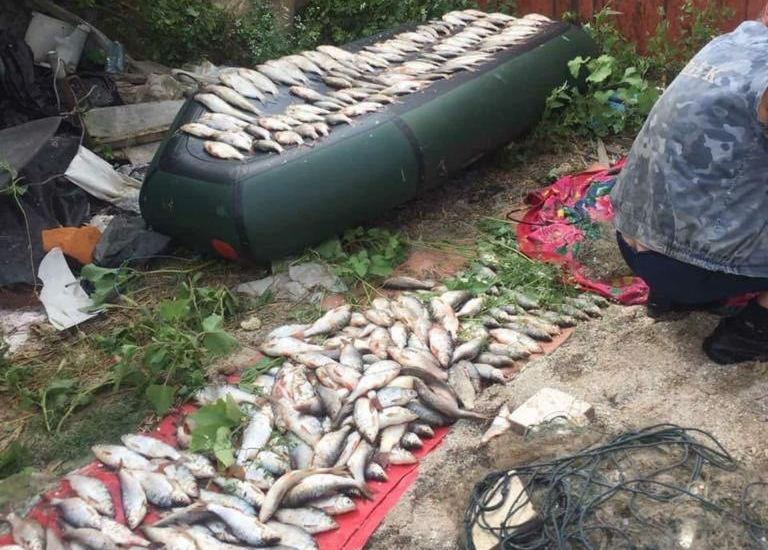 Николаевский рыбоохранный патруль поймал очередного браконьера, который незаконно добыл много рыбы (ФОТО) 7